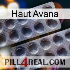 Top Avana 31